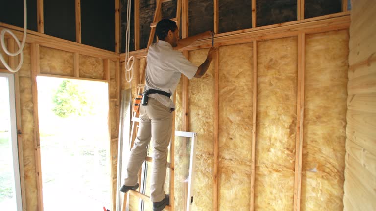 Best Insulation Air Sealing  in Earlvle, IL