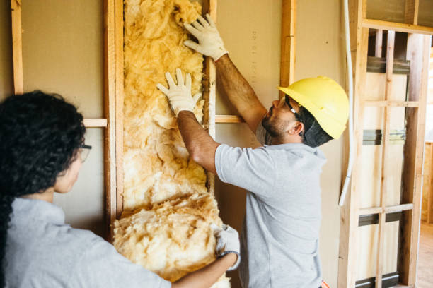 Best Garage Insulation  in Earlvle, IL