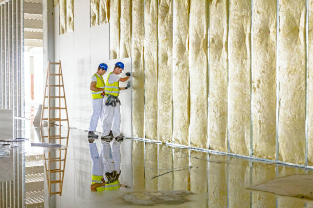 Types of Insulation We Offer in Earlville, IL